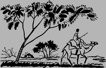 Черный феникс. Африканское сафари - img08.png