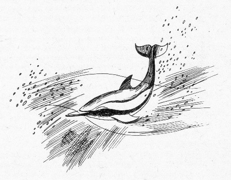 Остров дельфинов. Песня далёкой Земли - i_003.jpg