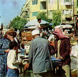 Удивительные донумы - i_013.jpg