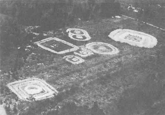 Друиды. Поэты, ученые, прорицатели - pic_40.jpg