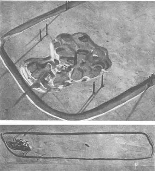 Друиды. Поэты, ученые, прорицатели - pic_49.jpg