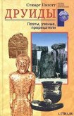 Друиды. Поэты, ученые, прорицатели - Пиготт Стюарт