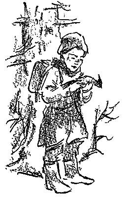 У лісничівці - i_004.png