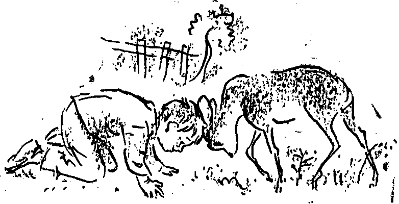 У лісничівці - i_007.png