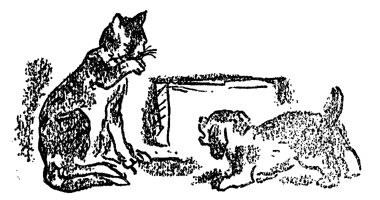 У лісничівці - i_008.png