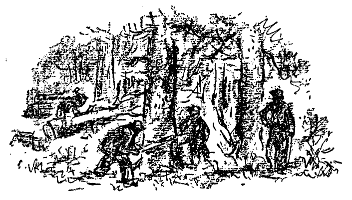 У лісничівці - i_009.png