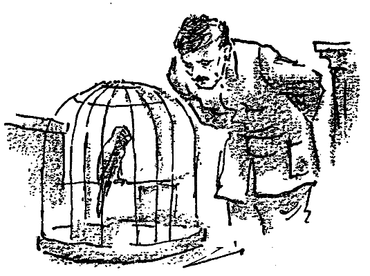 У лісничівці - i_013.png