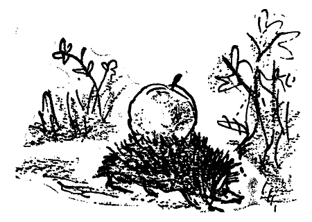 У лісничівці - i_018.png