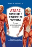 Атлас: анатомия и физиология человека. Полное практическое пособие - Зигалова Елена Юрьевна