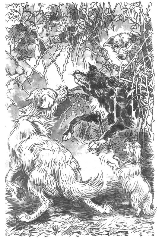 Пустой город - pic247.jpg