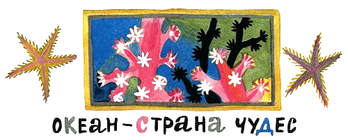 Дельфиния - i_019.png