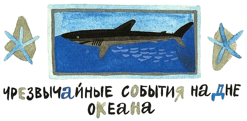 Дельфиния - i_030.png