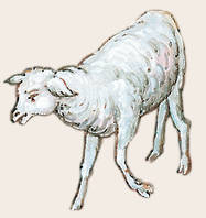 Библия в рассказах для детей - _30.jpg