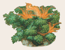 Библия в рассказах для детей - _32.jpg