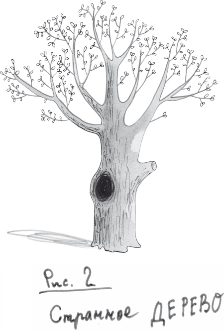 Ной Морсвод убежал - _2.jpg