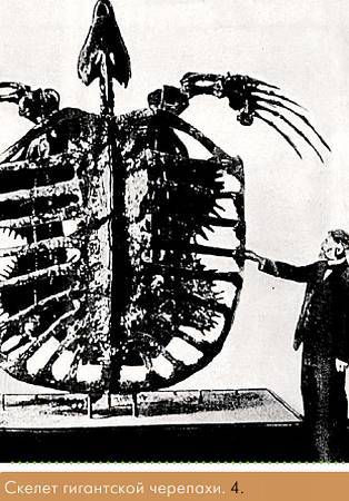 Окно в природу - _46.jpg