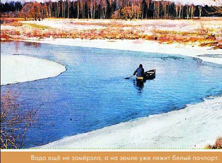 Окно в природу - _81.jpg