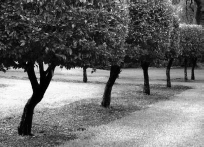 Благоустройство территории вокруг коттеджа - i_016.jpg