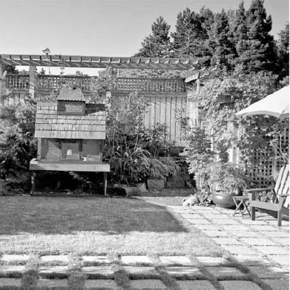 Благоустройство территории вокруг коттеджа - i_074.jpg