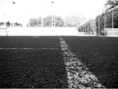 Благоустройство территории вокруг коттеджа - i_075.jpg