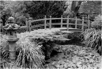 Благоустройство территории вокруг коттеджа - i_096.jpg