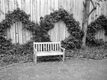 Благоустройство территории вокруг коттеджа - i_097.jpg