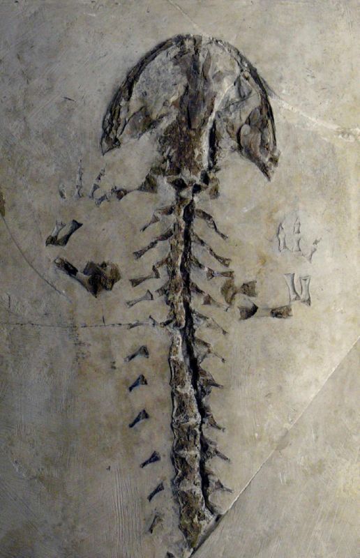 Все минувшие дни (ЛП) - _14.jpg