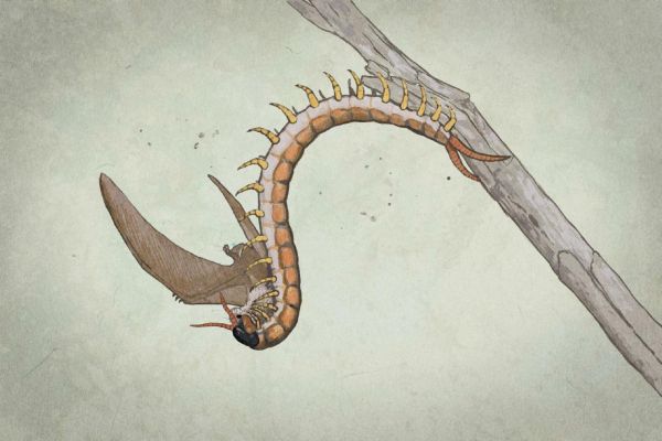 Все минувшие дни (ЛП) - _25.jpg