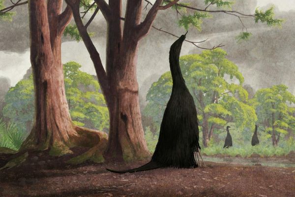 Все минувшие дни (ЛП) - _46.jpg