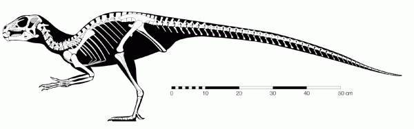 Все минувшие дни (ЛП) - _49.jpg