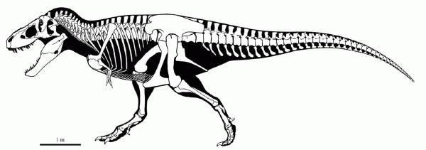 Все минувшие дни (ЛП) - _35.jpg