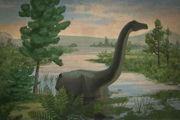 Все минувшие дни (ЛП) - _55.jpg