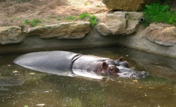 Все минувшие дни (ЛП) - _56.jpg