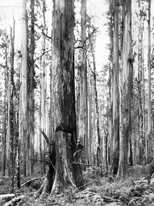 Большое путешествие - i_117.jpg