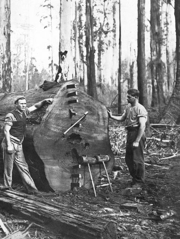 Большое путешествие - i_119.jpg