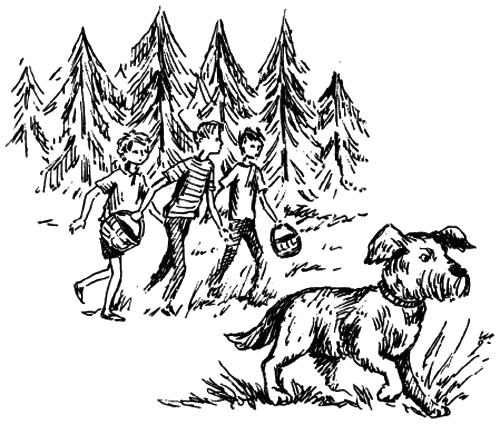 Чарівний талісман (збірник) - i_014.png