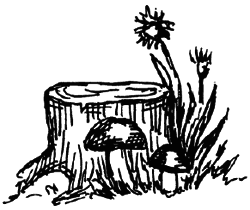 Чарівний талісман (збірник) - i_015.png