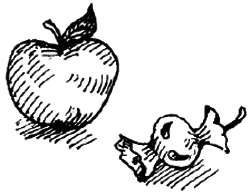 Чарівний талісман (збірник) - i_019.png