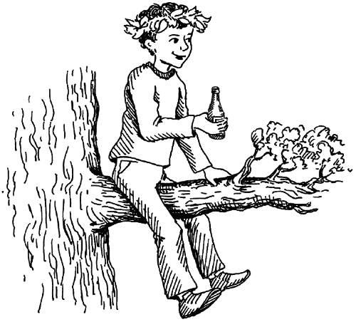 Чарівний талісман (збірник) - i_042.png