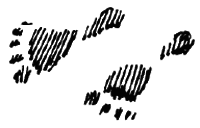 Чарівний талісман (збірник) - i_053.png