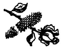 Чарівний талісман (збірник) - i_061.png