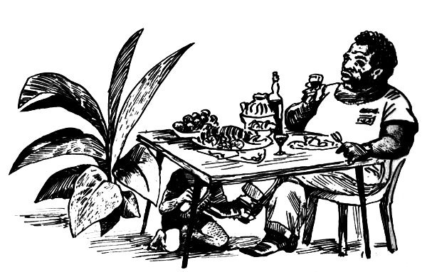 ВьЮжная Америка - i_014.png