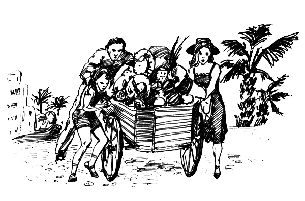 ВьЮжная Америка - i_024.png