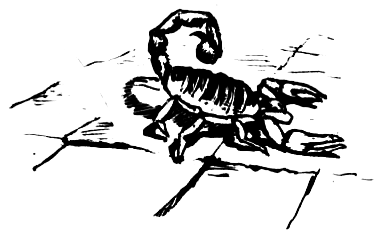 ВьЮжная Америка - i_039.png