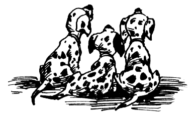 ВьЮжная Америка - i_049.png