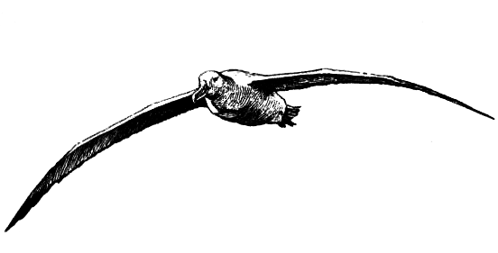 ВьЮжная Америка - i_053.png