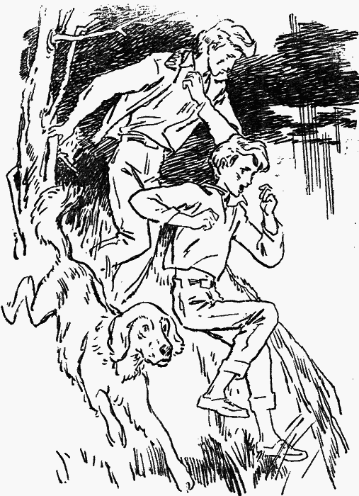 Брат Молчаливого Волка - img012.png