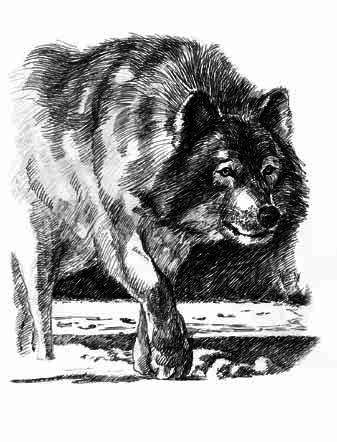 Собрание сочинений в одной книге - _8.png