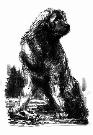 Собрание сочинений в одной книге - _9.png