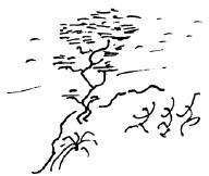 Мангушев и молния - i_011.jpg